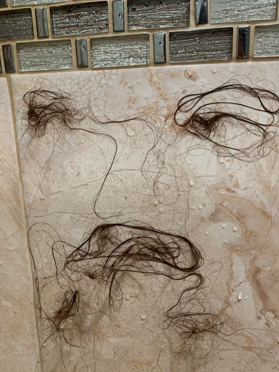 ../assets/hairE.png